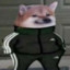 stervo