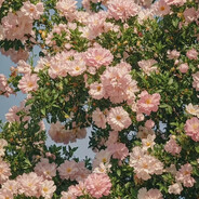 倒地激发队友潜力