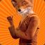 Mr.FOX