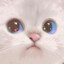 chubbabunxo