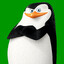 Skipper