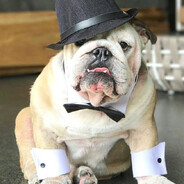 buld9g - steam id 76561199334850945