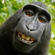 Autistic Monkey
