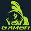 GameR(Геймер)