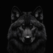 dr1nor - steam id 76561199100560431