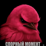 СПОРНЫЙ МОМЕНТ