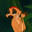 Kynar