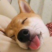 当赌狗！快乐就完了！