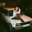 rm_milennikov