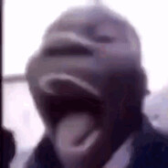 Rotty_tops