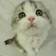 文能祺马定乾坤