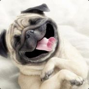 mops ♥ (ˆ⌣ˆԅ) - steam id 76561198012071744