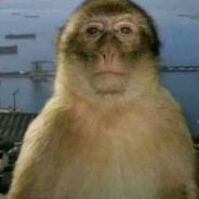 yusef's avatar