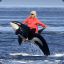 Paula Deen on an Orca Whale