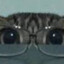 KOOKYKAT
