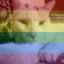 Kitty. #LGBT+_Rights