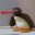 Noot Noot