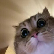 пупкин залупкин