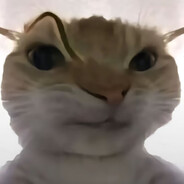 下下下斯偶脉搏