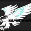 Silverhawk