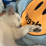 "相逢不晚 为何匆匆"