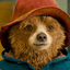 Paddington Bear