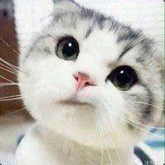 要这要那 您配吗