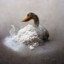 quack cocaine