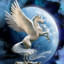 ~**Pegasus**~