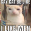 cat gay