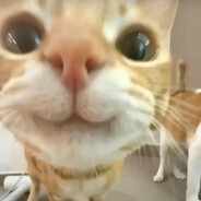 meowmeowwmemeowmewmwmeowweweomwm - steam id 76561199568214509