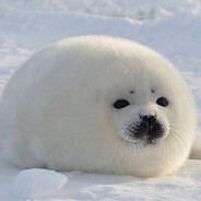 就差最后一口给你解毒