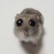 mouse Steam avatar