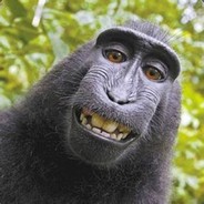 耍钢叉的大马猴