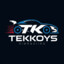 TekKoyS