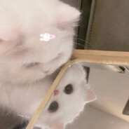 买一送一送小三