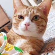 贫困山区的穷苦孩子