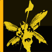 imVa1N avatar