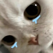 一定会有结局的