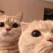 热情也会凝霜吗.