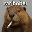 Mr bober