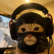 Temp0_'s avatar