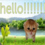 Hello?