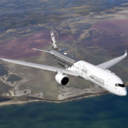 她的屁股有点黑