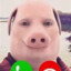 john pork