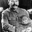 Stalin&#039;s wombat