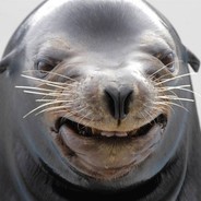 Foca
