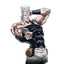 Jean Pierre Polnareff