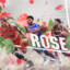 罗玫