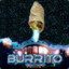 {AVG} Burrito